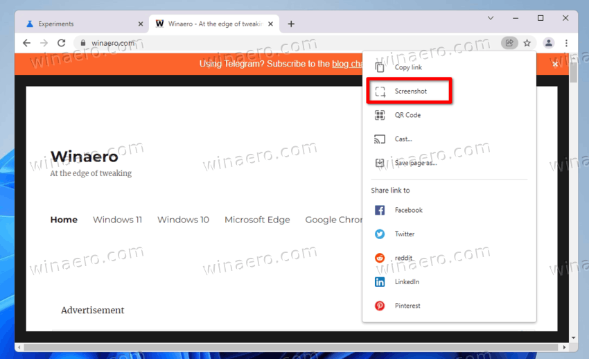 Descargar Chrome por Torrent screenshot